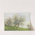 Blühende Obstbäume by Alois Tott