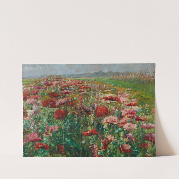 Blühender Mohn by Olga Wisinger-Florian