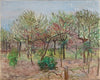 Blühender Obstgarten