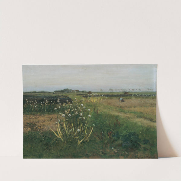 Blühendes Zwiebelfeld (1897) by Eugen Jettel