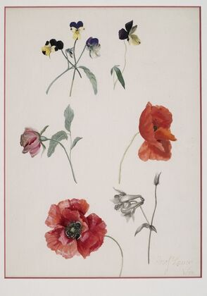 Blumen