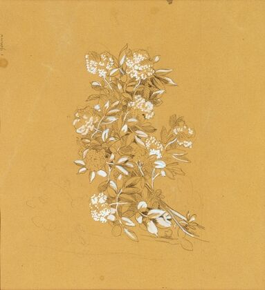 Blumenbouquet