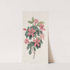 Blunt-leaved Azalea by Sydenham Edwards