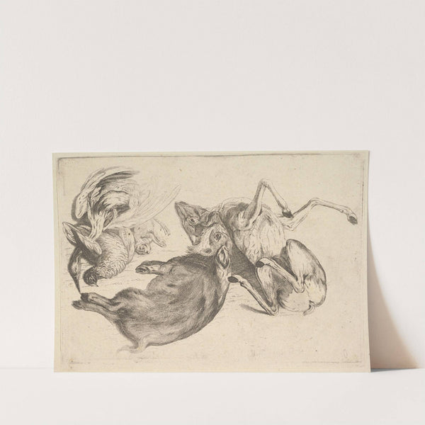 Boar, deer, heron and other game Wenceslaus Hollar Bohemian (1647) by Wenceslaus Hollar