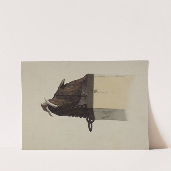 Boar's Head by Joseph Goldberg