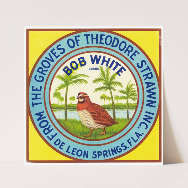 Bob White Brand Citrus Label (1930-1950)