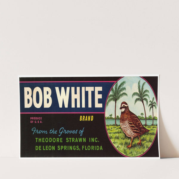 Bob White Brand Citrus Label (1930-1950)