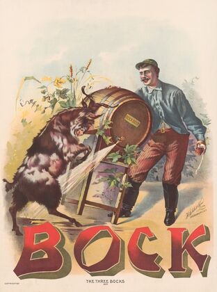 Bock, the three Bocks (1895)