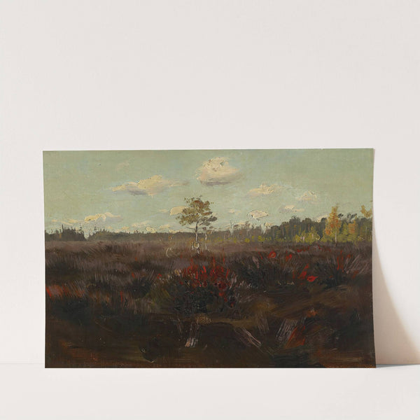 Bog in Lapland by Torsten Wasastjerna