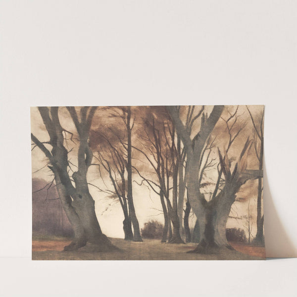 Bøgetræer i Ermelunden by Peter Ilsted