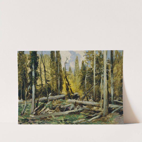 Böhmerwald by Ferdinand Engelmüller