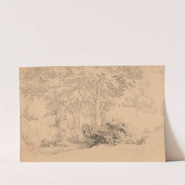 Bois à Kermoëlo by Jacques-Raymond Brascassat