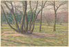 Bois de Boulogne (1903)