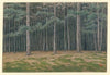 Bois de Boulogne (1903)
