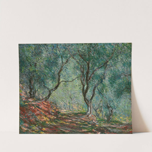Bois d’oliviers au jardin Moreno (1884) by Claude Monet