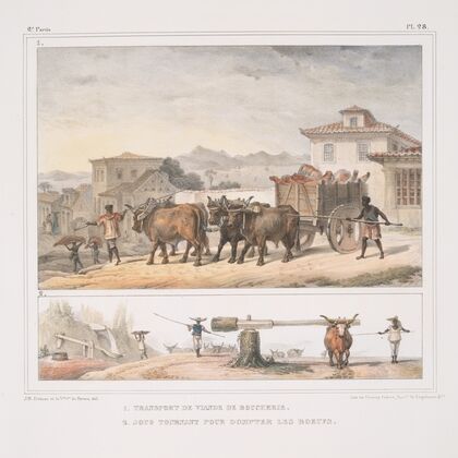 Transport de viande de boucherie; Joug tournant pour dompter des boeufs — size preview