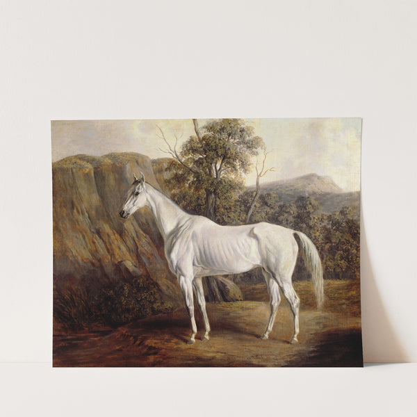 BOLIVIA (1836) by Edward Troye