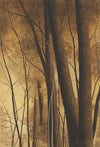 Bomen