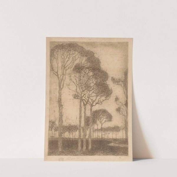 Bomen aan de rand van het Oranjewoud (1914-1915) by Jan Mankes