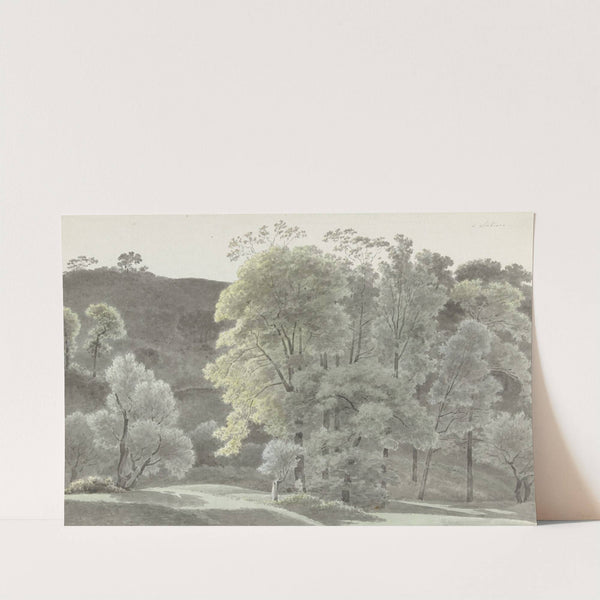 Bomen in de omgeving van Subiaco (1778 - 1847) by Josephus Augustus Knip