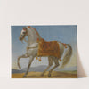Bonaparte’s Arab Stallion, ‘marengo’ by Antoine-Jean Gros