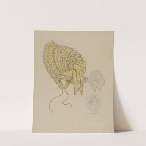 Bonnet by Gladys Cook