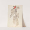 Bonnet (c. 1940) by Nancy Crimi