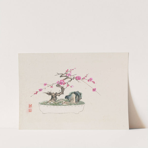 Bonsai kabenzu, Pl.03 (1868-1912)