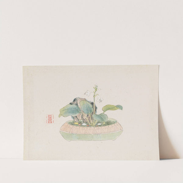 Bonsai kabenzu, Pl.09 (1868-1912)