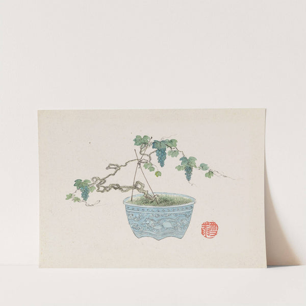 Bonsai kabenzu, Pl.15 (1868-1912)