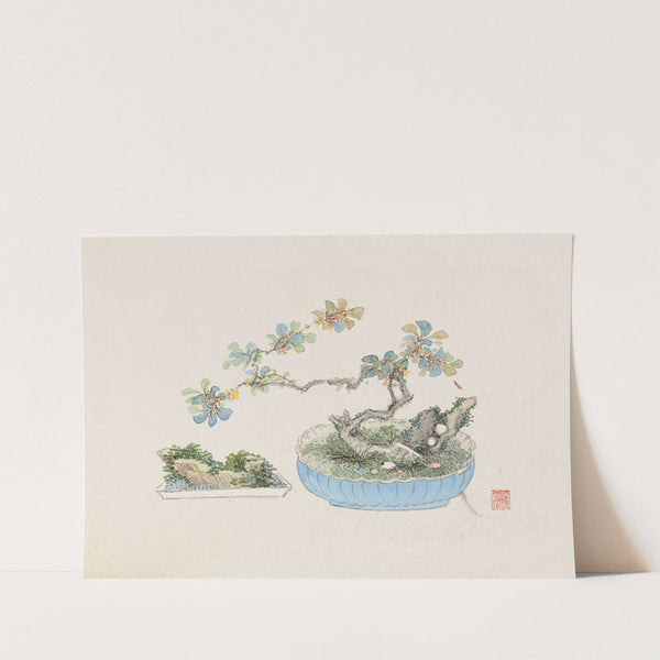 Bonsai kabenzu, Pl.22 (1868-1912)