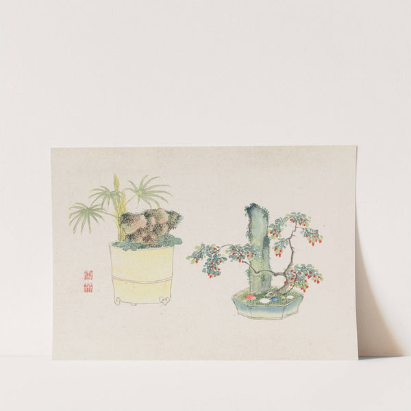 Bonsai kabenzu, Pl.23 (1868-1912)