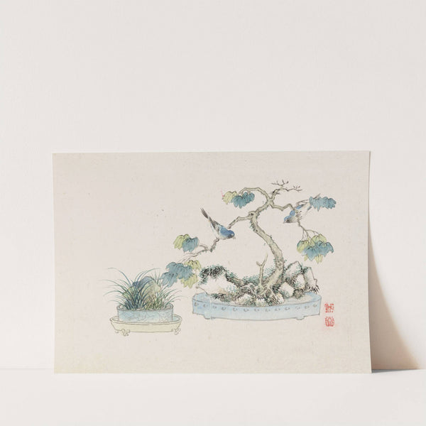 Bonsai kabenzu, Pl.24 (1868-1912)