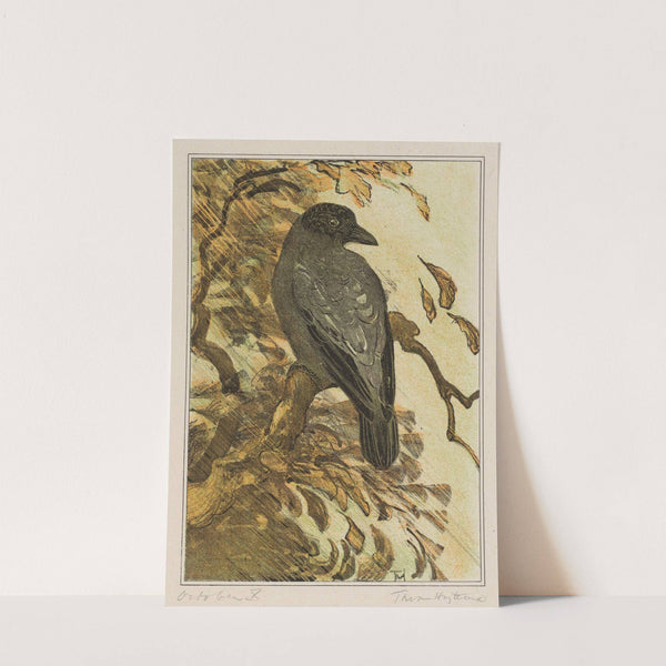 Bonte kraai op tak by Theo van Hoytema