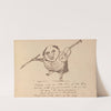 Book of nonsense Pl.14 by Edward Lear
