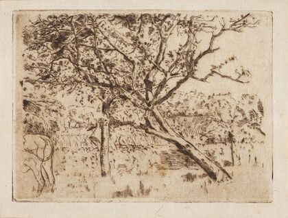 Boomgaard (1893)