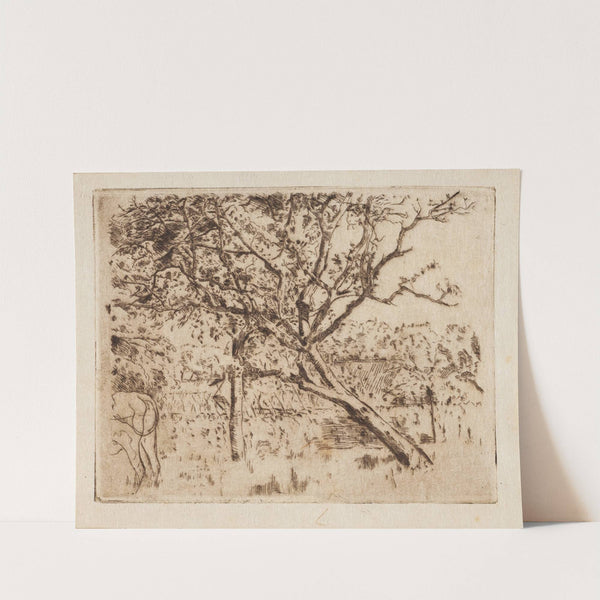 Boomgaard (1893) by Alfred William Finch