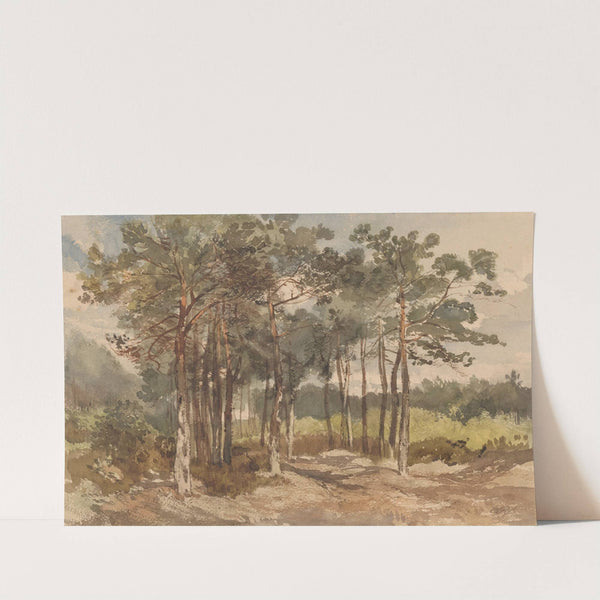 Boomgroep in de bossen bij Driebergen by Charles Rochussen