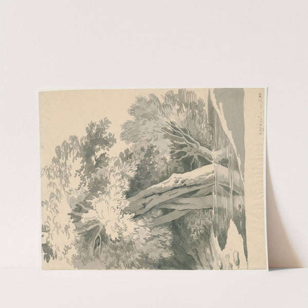 Boomgroep in het water by David Humbert de Superville