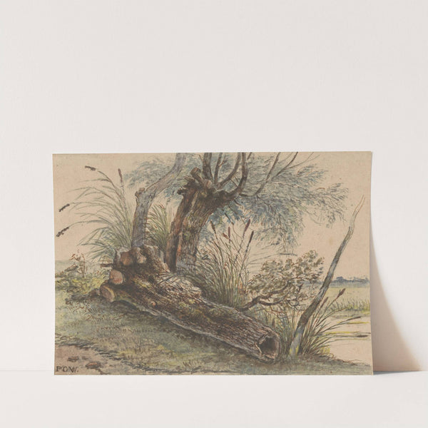Boomstronk in het riet by George Pieter Westenberg
