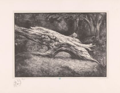 Boomstronk Le Charlemagne (Fontainebleau) (1931)