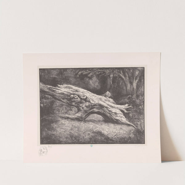 Boomstronk Le Charlemagne (Fontainebleau) (1931) by Simon Moulijn