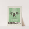 Borocalcyl (1910-1950) by Laboratoires Thevenot