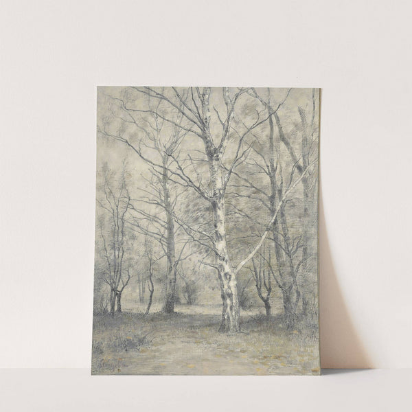 Bos met berkebomen by Alphonse Stengelin