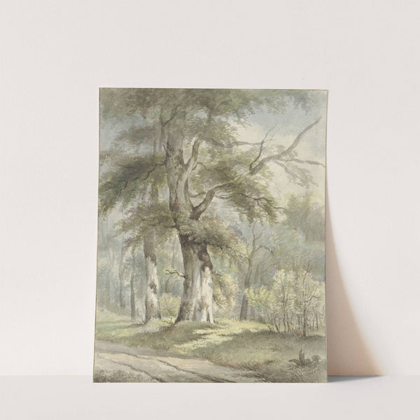 Bosgezicht by Arnoldus Johannes Eymer