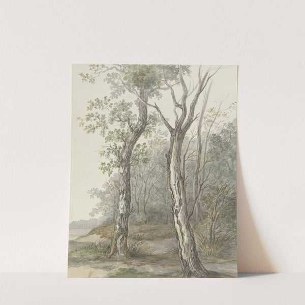 Boslandschap by Jan Dasveldt