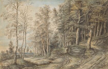 Boslandschap