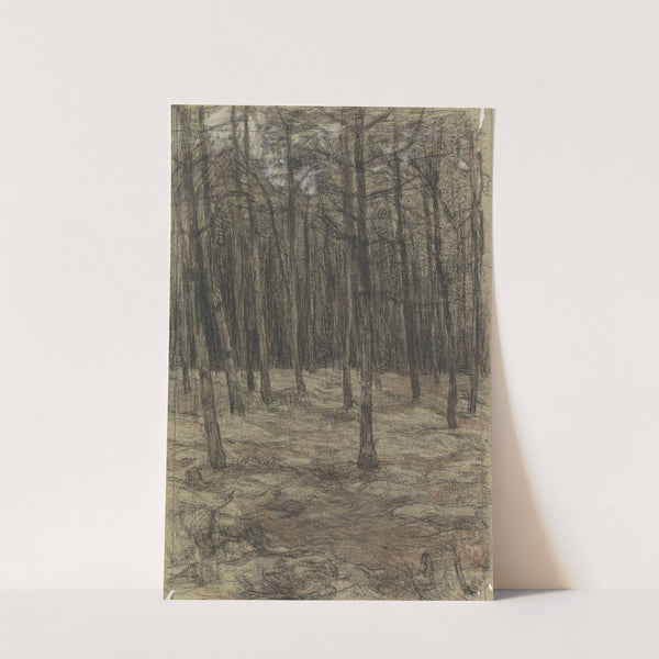 Boslandschap by Jan Veth