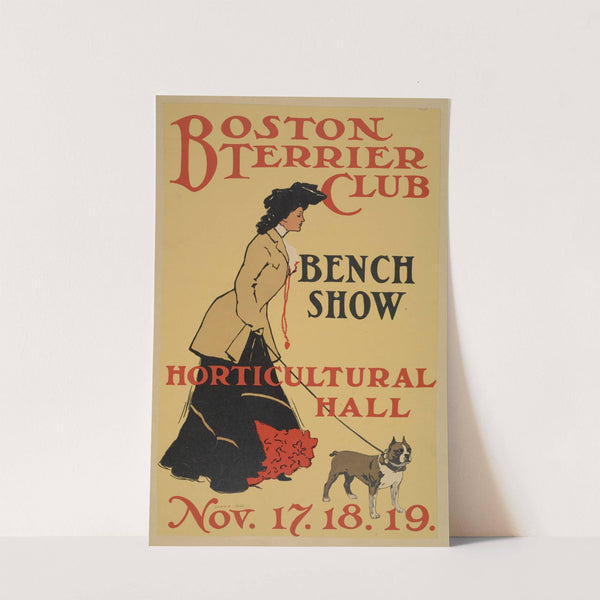 Boston Terrier Club by Anonymous