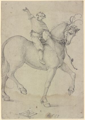 Boy on a high horse